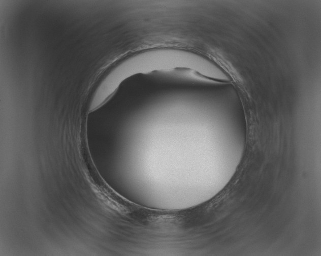 X0000082950058200702222324