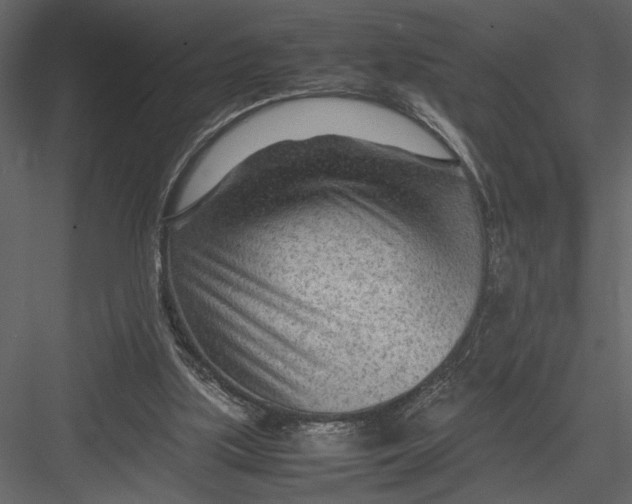 X0000082950059200702222324