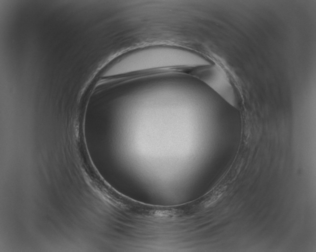 X0000082950060200702222324