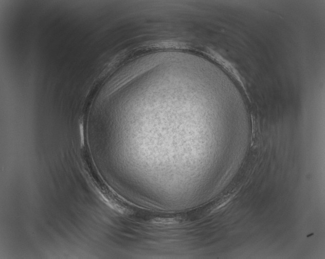 X0000082950061200702222324