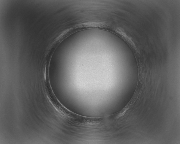 X0000082950062200702222324