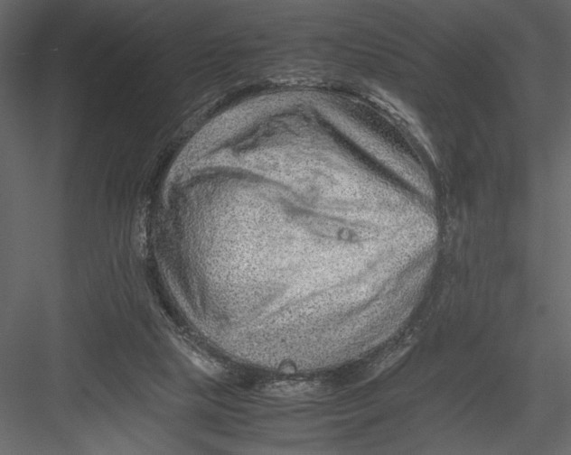 X0000082950065200702222324