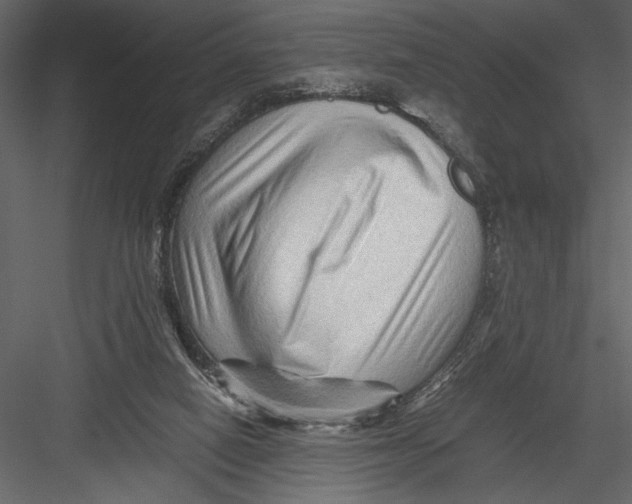 X0000082950066200702222324