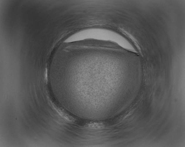 X0000082950067200702222324