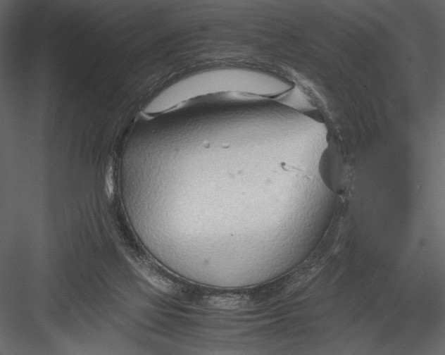 X0000082950069200702222324