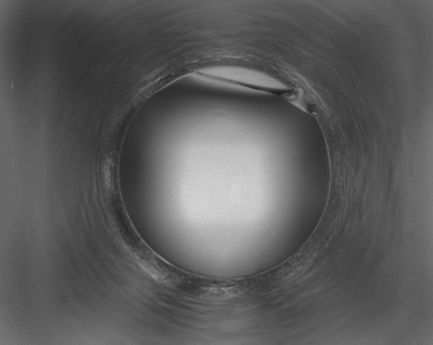 X0000082950071200702222324