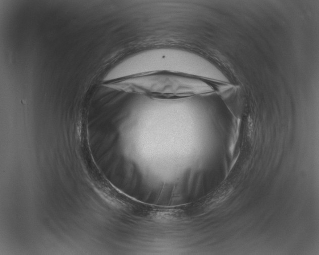 X0000082950072200702222324