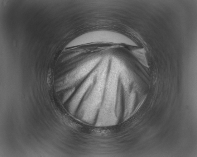 X0000082950073200702222324