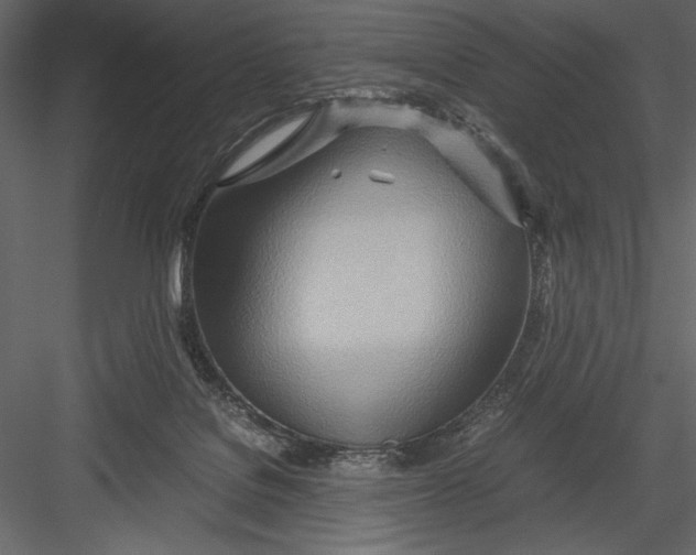 X0000082950076200702222324