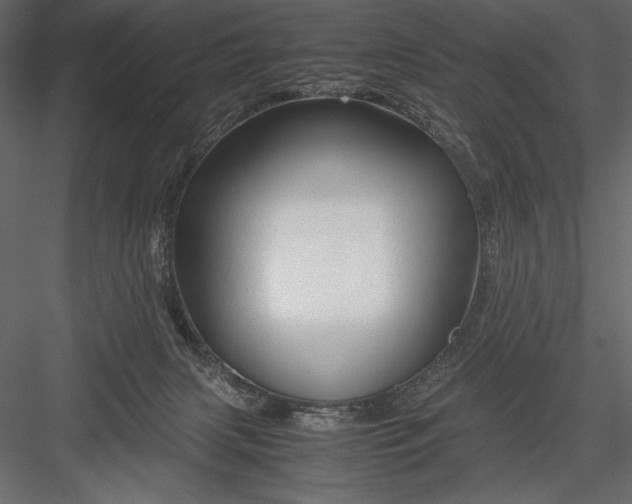 X0000082950079200702222325