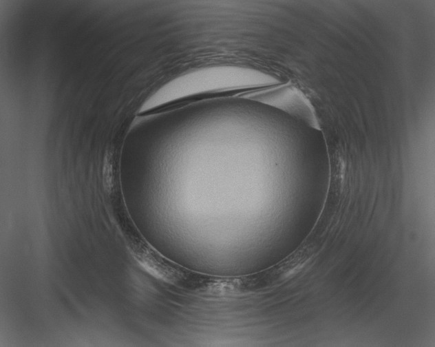 X0000082950080200702222325