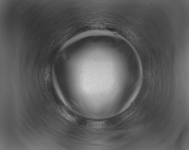 X0000082950081200702222325