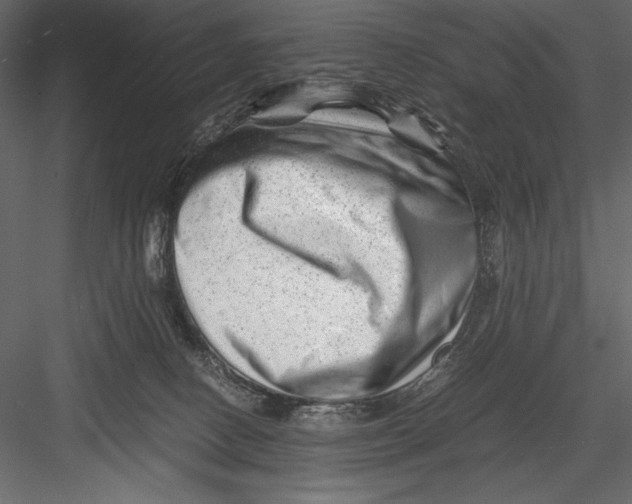 X0000082950082200702222325