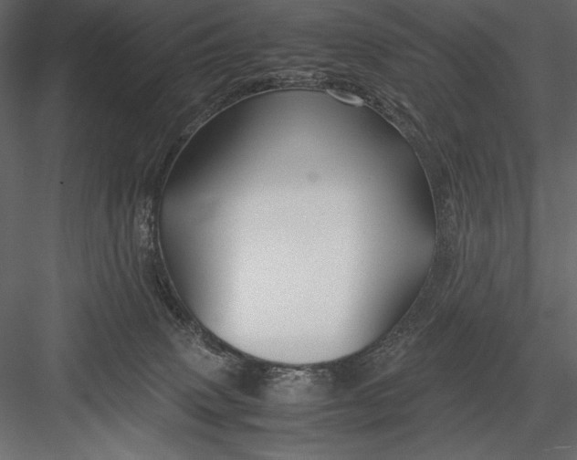 X0000082950083200702222325