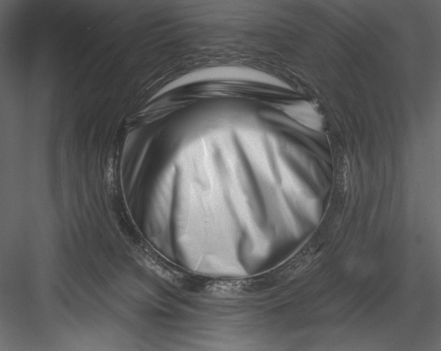 X0000082950084200702222325