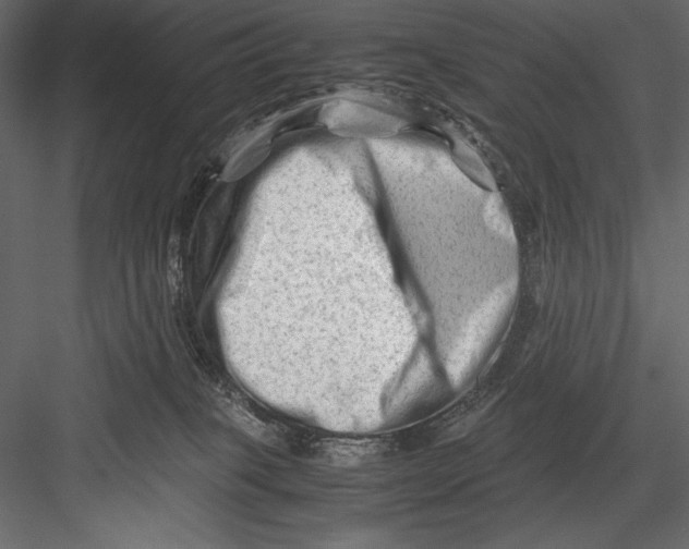 X0000082950085200702222325