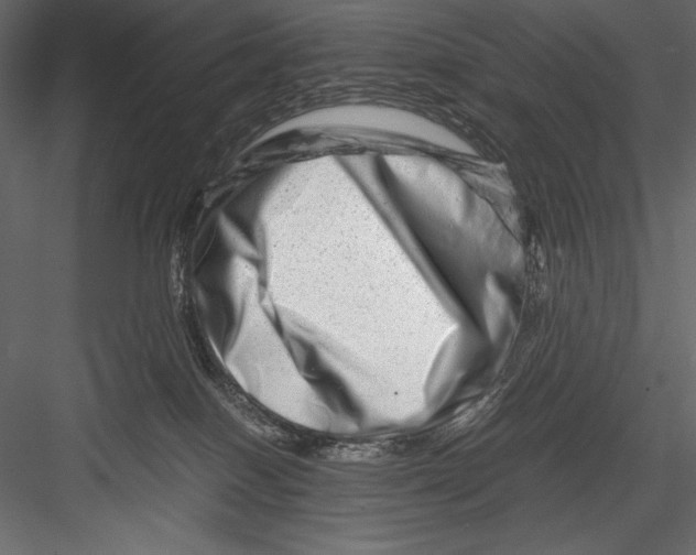 X0000082950086200702222325