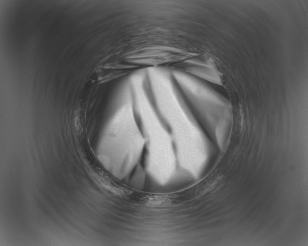 X0000082950088200702222325