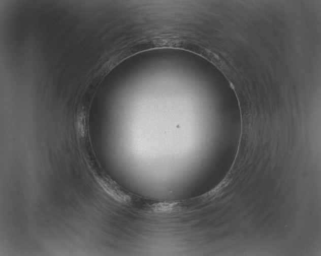 X0000082950090200702222325