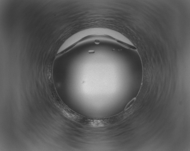 X0000082950091200702222325