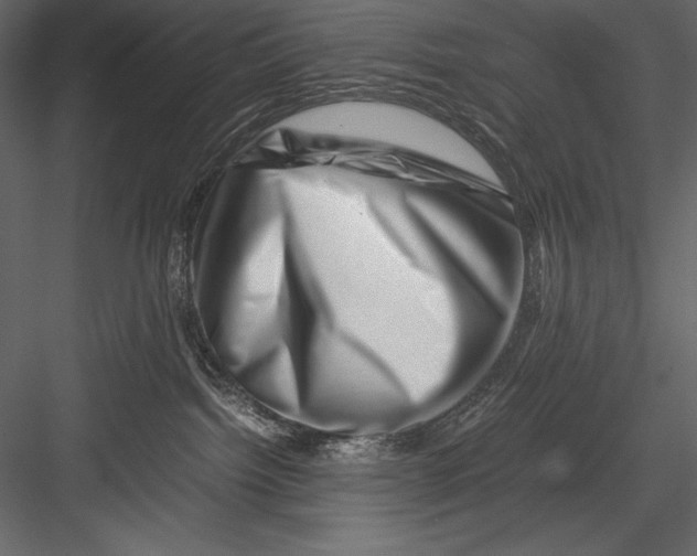 X0000082950092200702222325