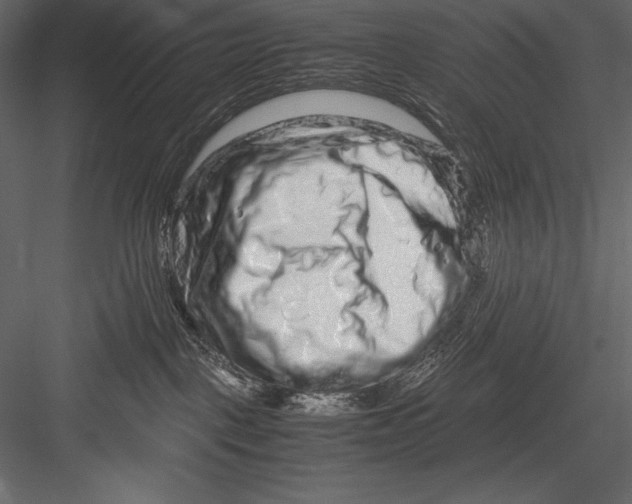 X0000082950093200702222325