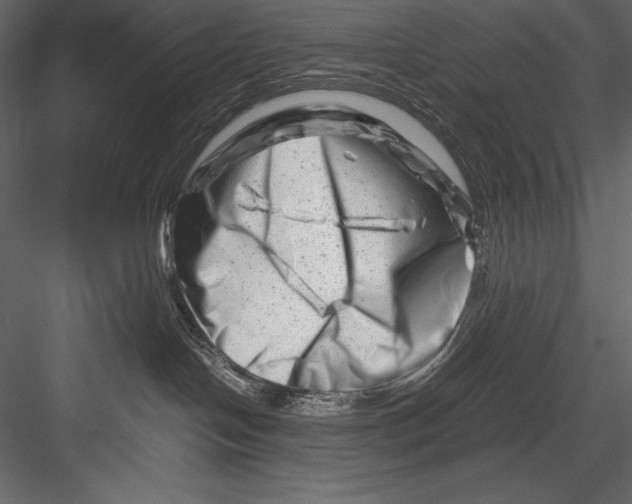 X0000082950094200702222325