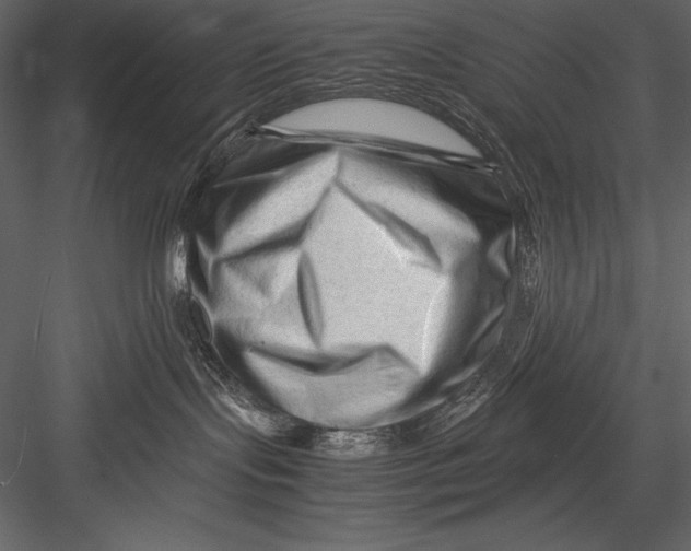 X0000082950095200702222325