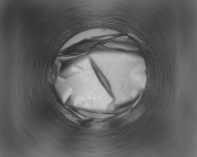 X0000082950096200702222325