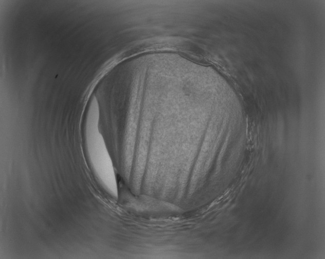 X0000082950099200702222324