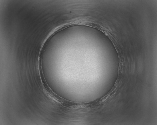 X0000082950100200702222324