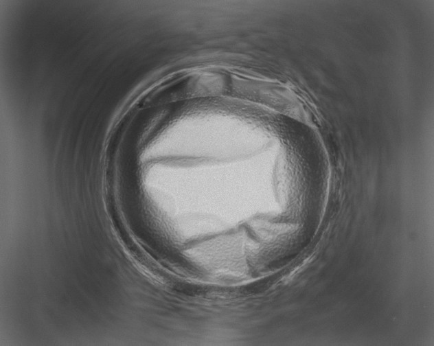 X0000082950101200702222324