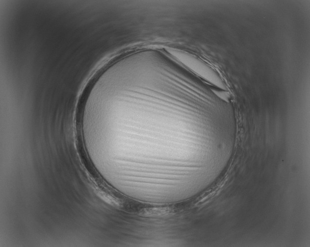 X0000082950102200702222324