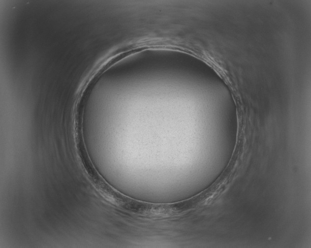 X0000082950103200702222324