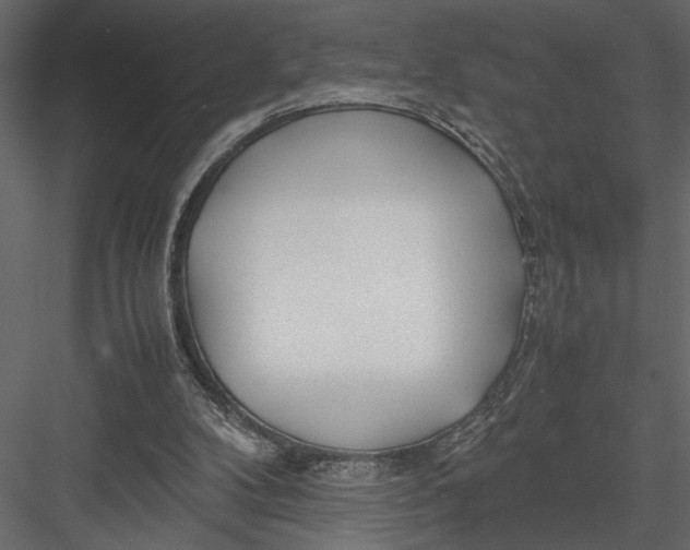 X0000082950104200702222324