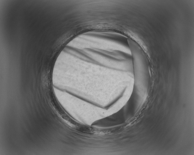 X0000082950105200702222324