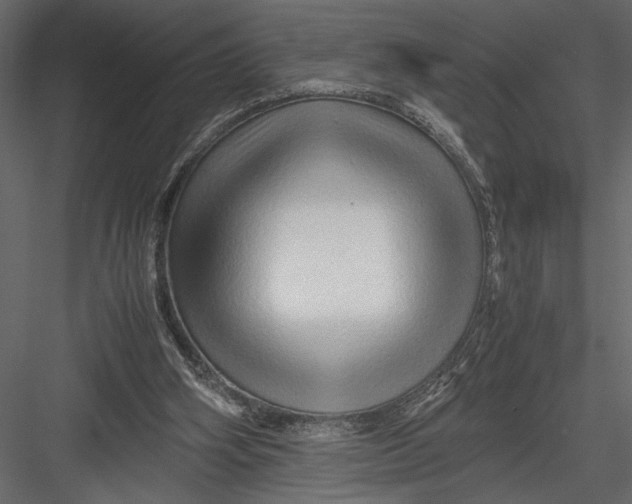 X0000082950106200702222324