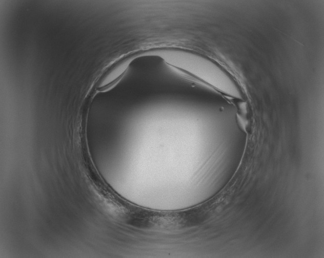 X0000082950107200702222324