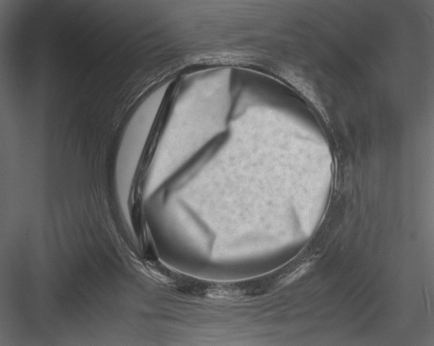 X0000082950109200702222324