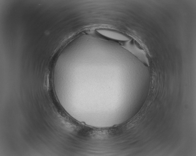 X0000082950110200702222324