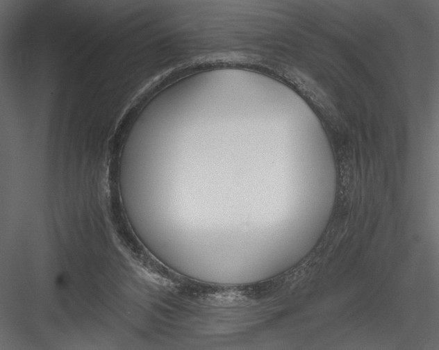 X0000082950112200702222324