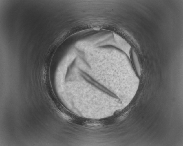 X0000082950113200702222324