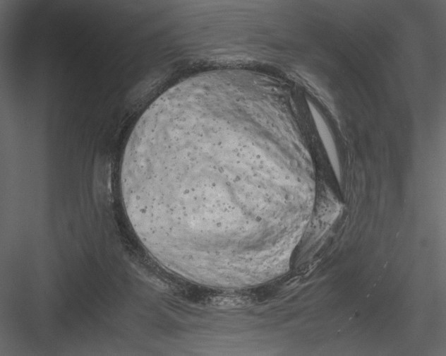 X0000082950115200702222324