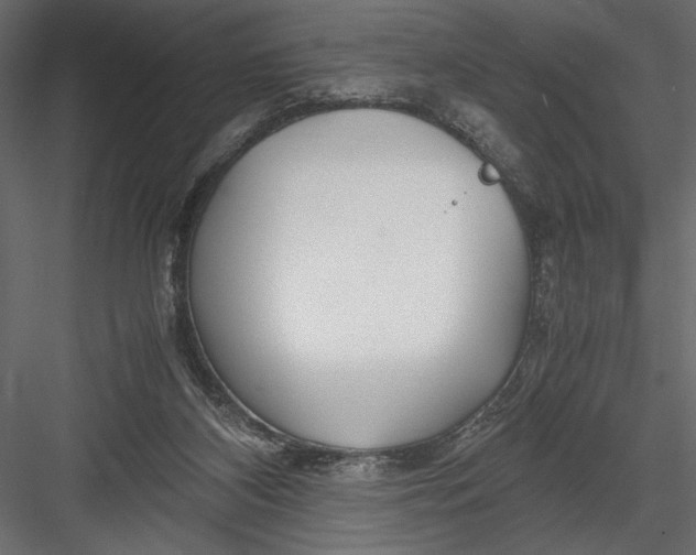 X0000082950116200702222324