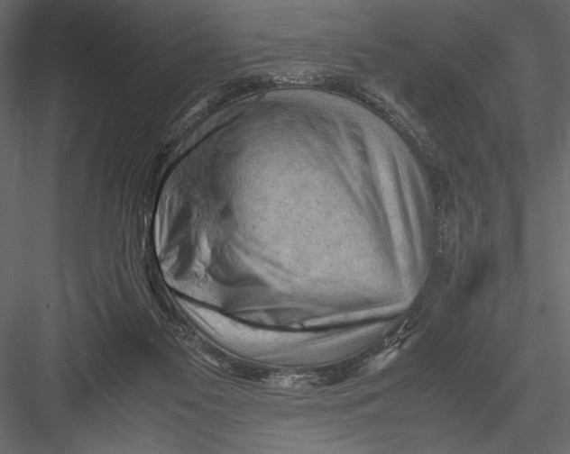 X0000082950117200702222324