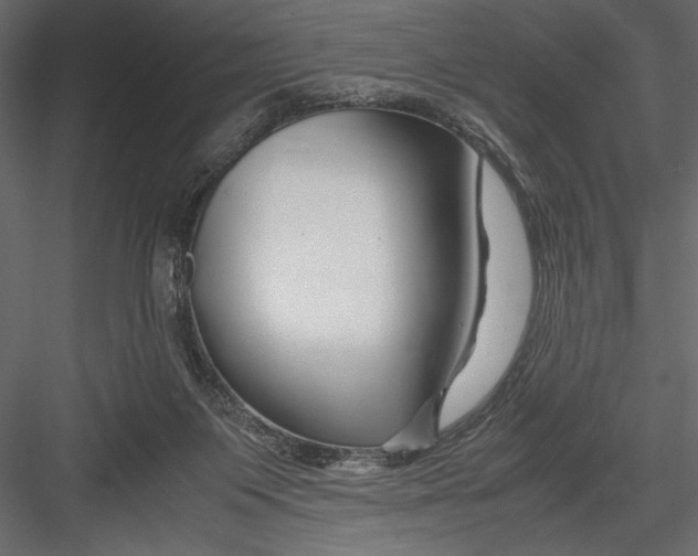 X0000082950119200702222324