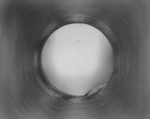 X0000082950120200702222324