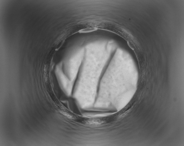 X0000082950121200702222324