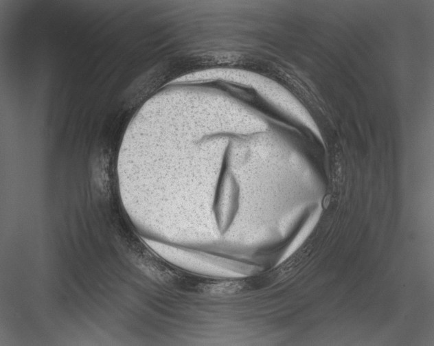 X0000082950122200702222324