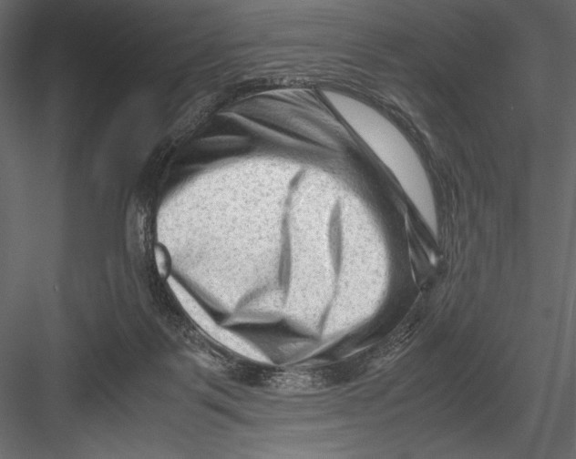 X0000082950123200702222324